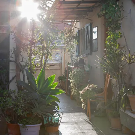 H11 Nido Del Gabbiano Centro - Appartement *